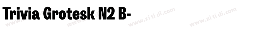 Trivia Grotesk N2 B字体转换 Trivia Grotesk N2 B字体转换